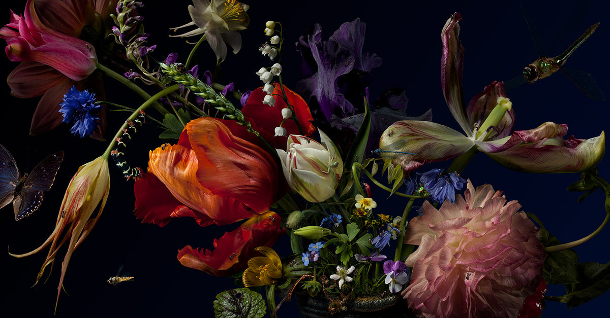 Still Life 6 Mural | Astek