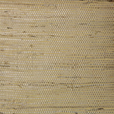 Fine Arrowroot - Ivory Wallpaper