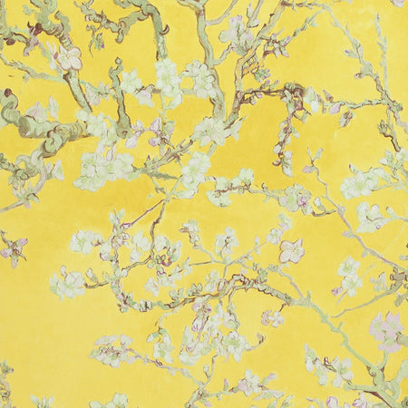 Almond Blossoms - Yellow