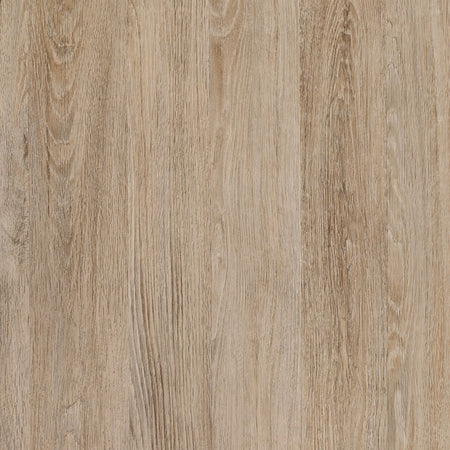 Santana Oak Contact Paper