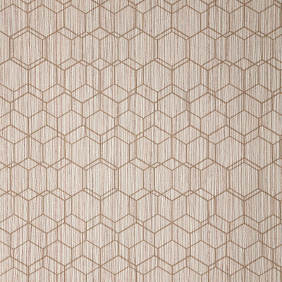 Wire Hex Wallcovering - Blush
