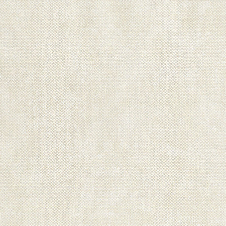 Unito Airone Wallcovering - Ivory Plaster