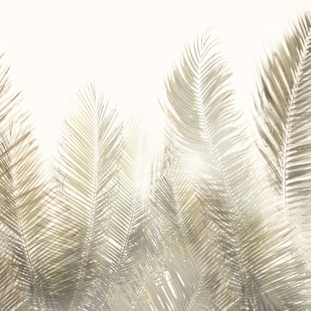 Boko Natural Wallcovering