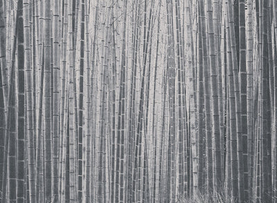 Arashiyma Black Wallcovering