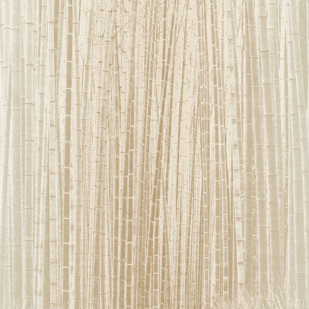 Arashiyma Sunrise Wallcovering