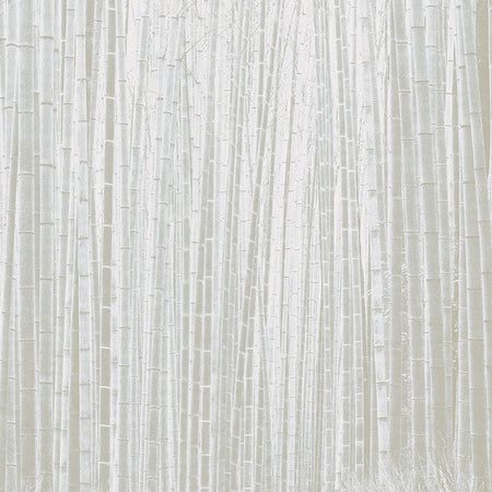 Arashiyma Neutral Wallcovering