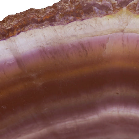 Brindle Mural - Renew