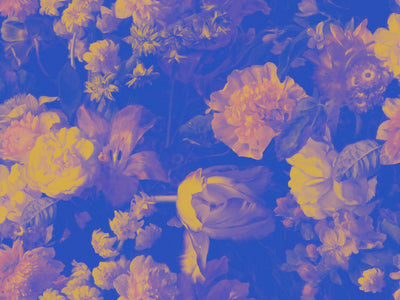 Chiaroscuro Wallcovering - Drift