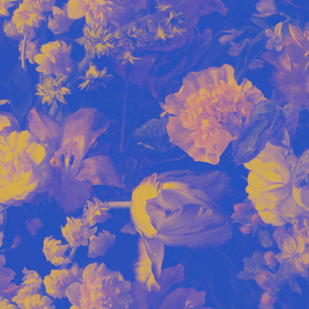 Chiaroscuro Wallcovering - Drift