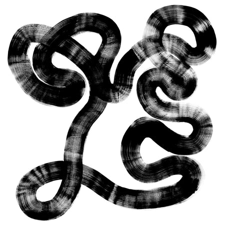 Gesture 13 Mural - Echo