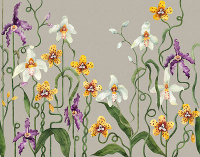 Cymbeline Repeating Mural - Grey