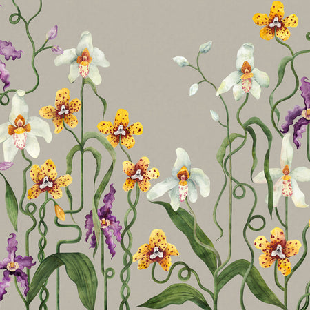 Cymbeline Repeating Mural - Grey