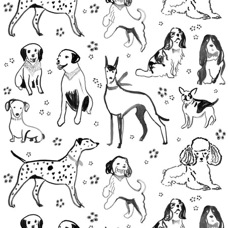 Puppy Playdate Wallcovering - Dalmatian