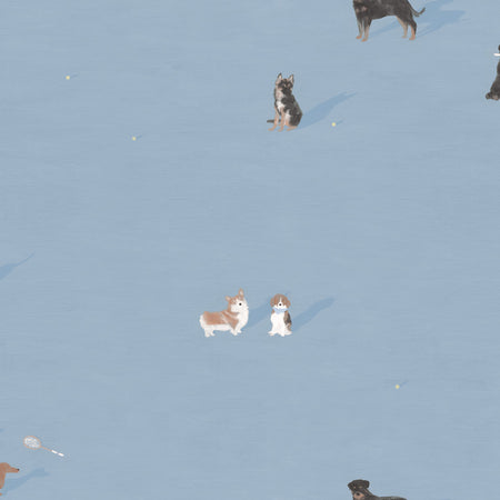 Dog Days Wallcovering - Court