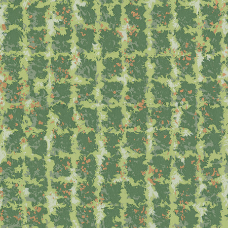 Alfalfa Wallcovering - Spring