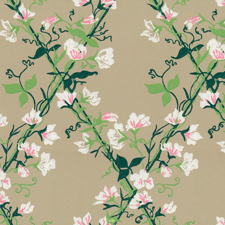Morning Glory Trellis Wallcovering - Earth