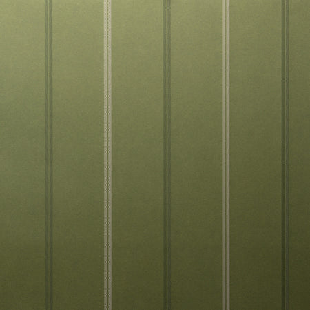 Base Layer - Evergreen