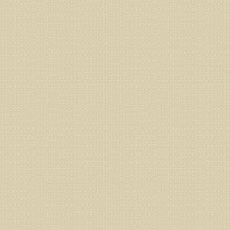 Woven Thatch Wallcovering - Barley