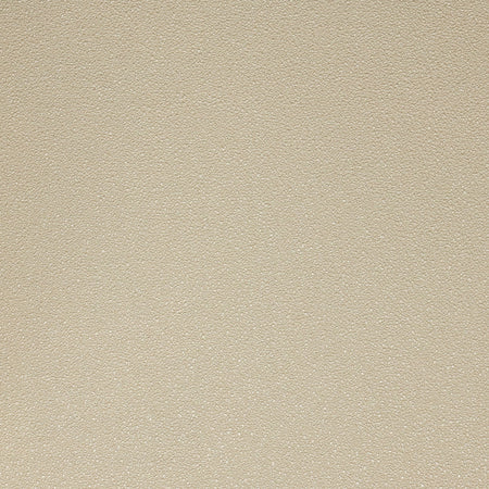 Pumice Wallcovering - Sand
