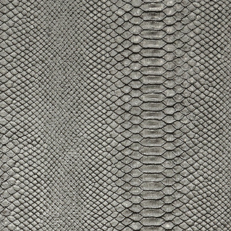Reptile Wallcovering - Ash