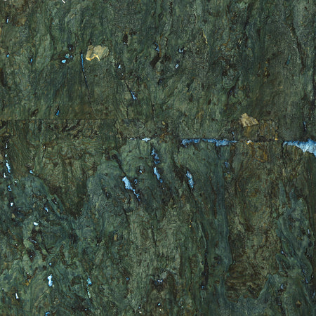 Forest Cork Wallcovering