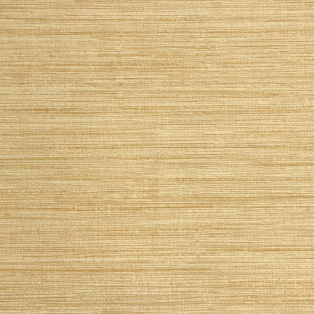 Alluvium - Camel
