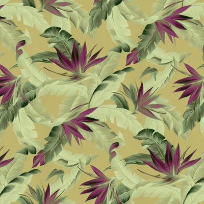 Wailea Wallcovering - Beatific