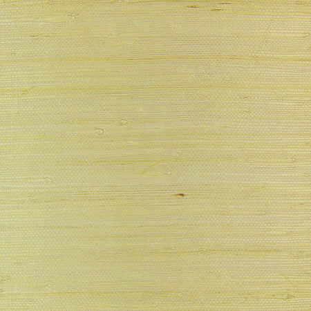 Tan Grasscloth Wallcovering