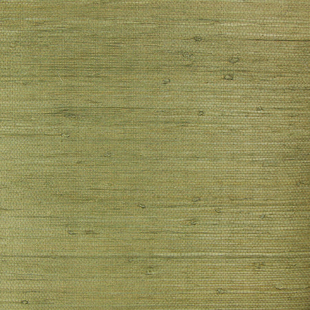 Olive Grasscloth Wallcovering