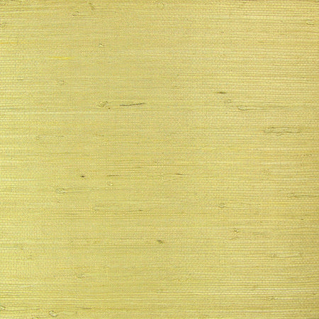 Blonde Grasscloth Wallcovering