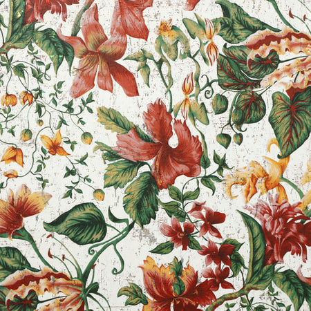 Rosemallow Wallpaper