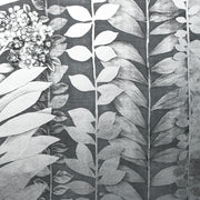 Climbing Hydrangea Wallpaper