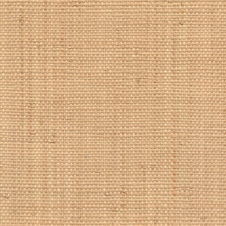 Biscuit Raffia Wallcovering