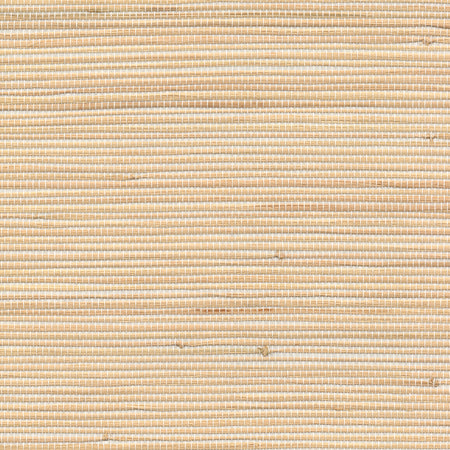 Arrowroot Raffia Wallcovering