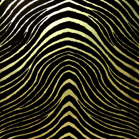 Zebra Stripes Flocked Wallcovering - Black & Gold