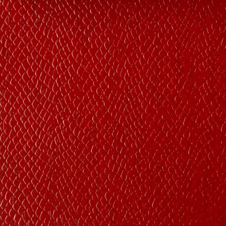 Reptile Wallcovering - Ruby
