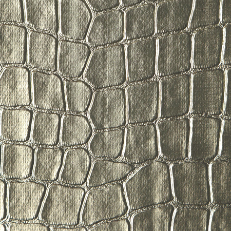 Crocodile - White Gold
