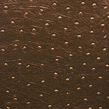 Ostrich Leather - Bronze