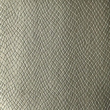 Reptile - Rhodium