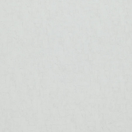 Canvas - Dove Wallpaper