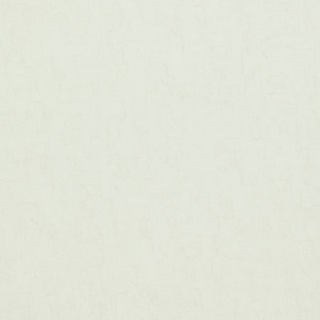 Canvas - Eggshell Wallpaper