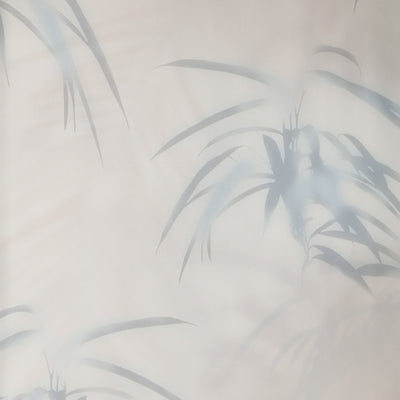 Parlor Palm - Sky Wallpaper