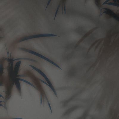 Parlor Palm - Night Wallpaper