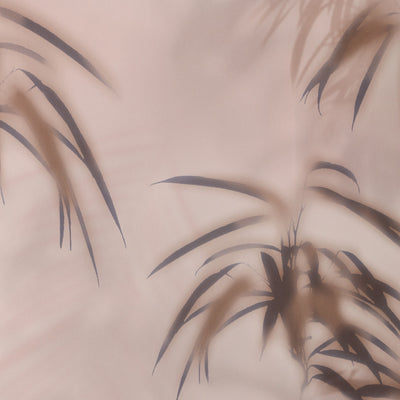 Parlor Palm - Blush Wallpaper