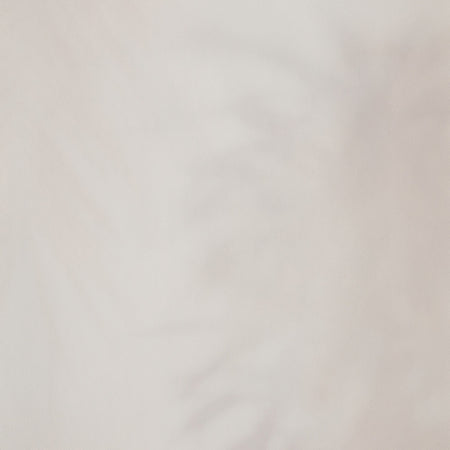 Ghost Palm - Cream Wallpaper