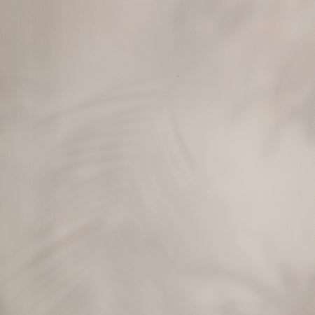 Ghost Palm - Blush Wallpaper