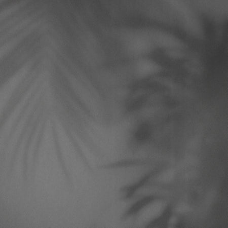 Ghost Palm - Charcoal Wallpaper