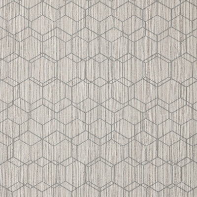Wire Hex - Soft Grey Wallpaper