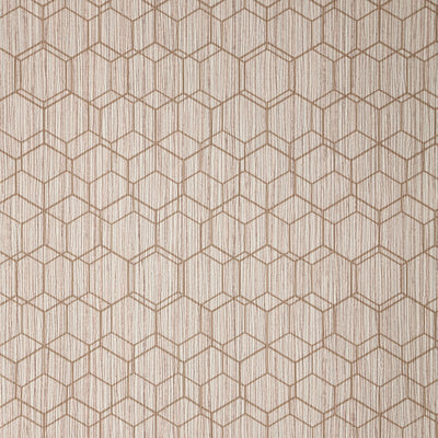 Wire Hex - Blush Wallpaper