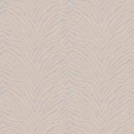 Zebra Crossing | 220530 Wallpaper